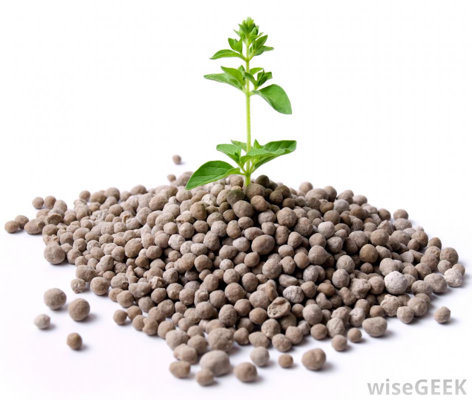 如何选择最好的果树肥料 Choose The Best Fruit Tree Fertilizer Iiiff互动问答平台